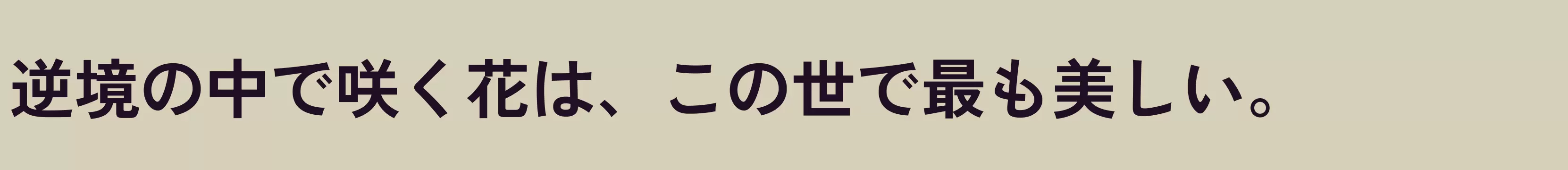 「Bold」字体效果图