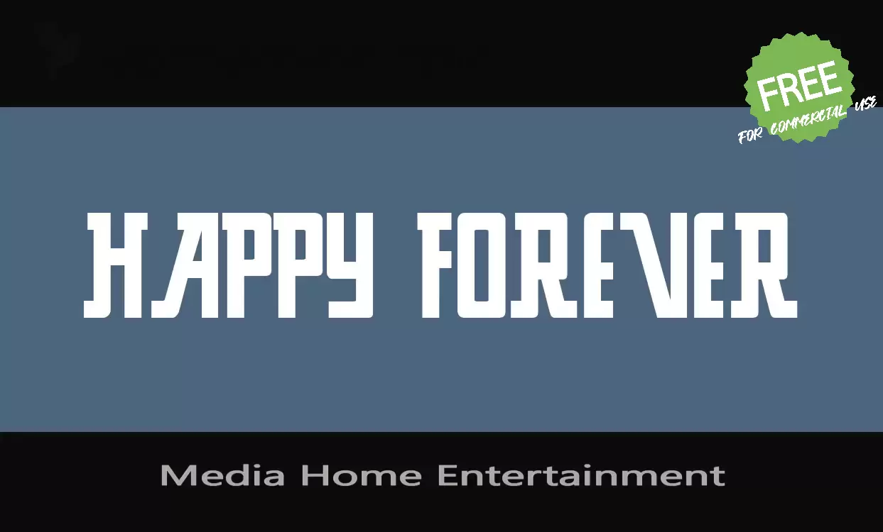 「Media Home Entertainment」字体效果图