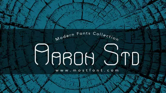 Typographic Design of Aaron-Std