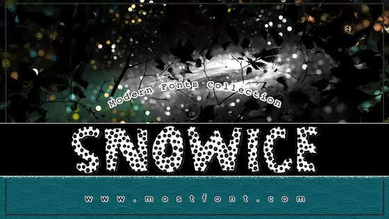 Typographic Design of SNOWICE