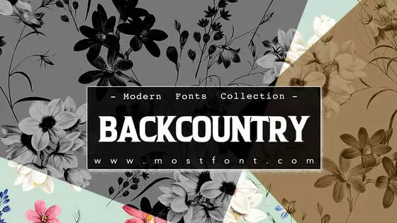 「BACKCOUNTRY」字体排版图片