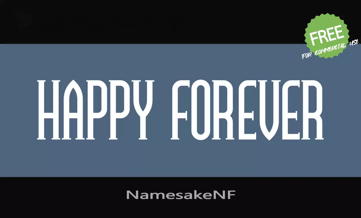 「NamesakeNF」字体效果图