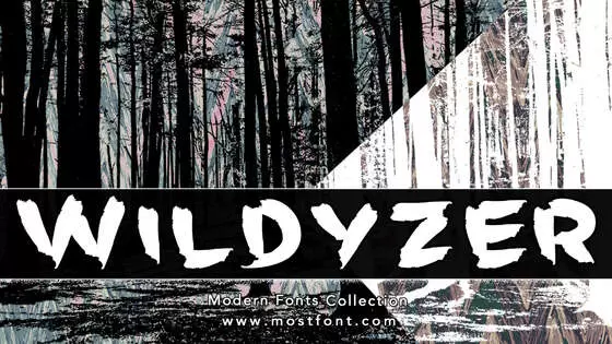 Typographic Design of Wildyzer