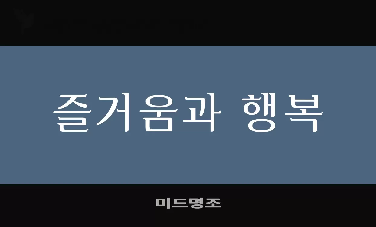 「미드명조」字体效果图