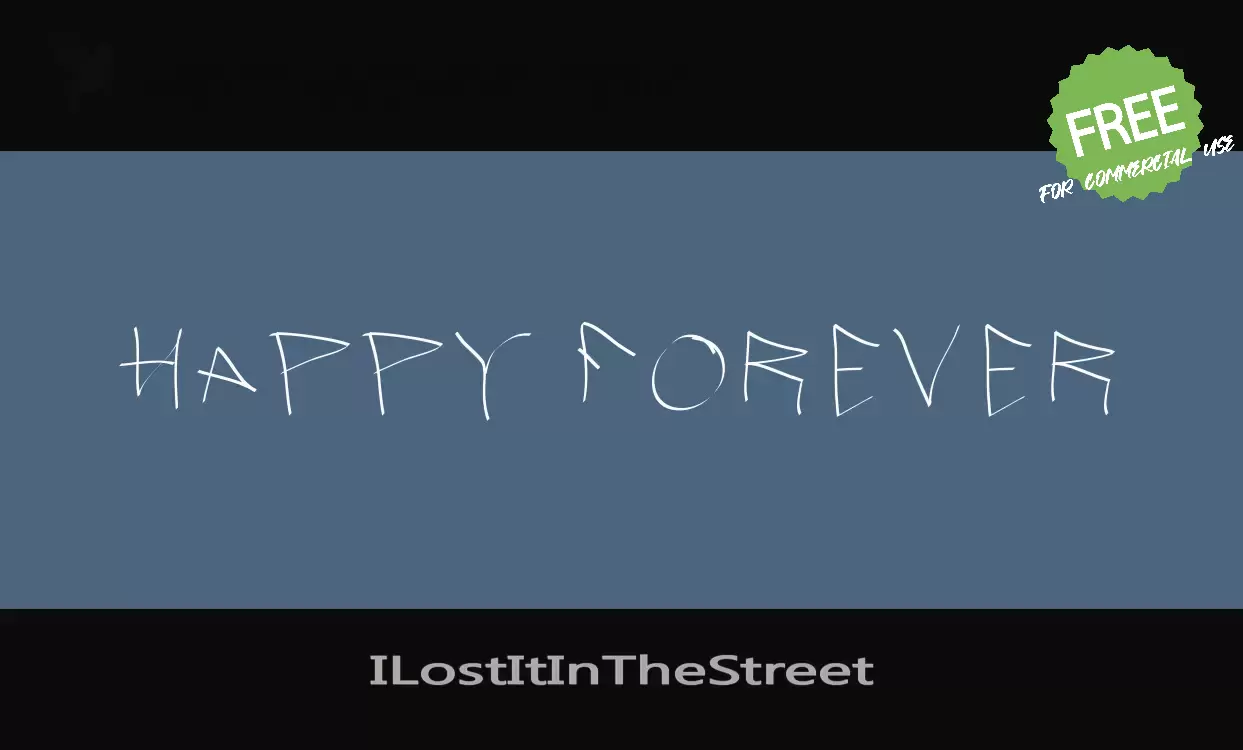 Font Sample of ILostItInTheStreet