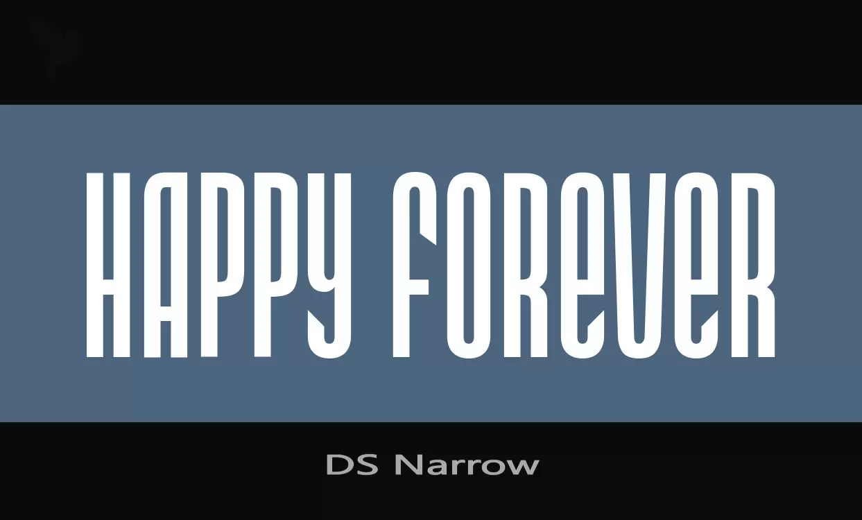 Font Sample of DS-Narrow