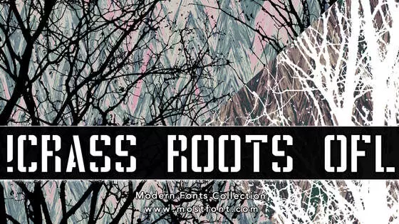 「!CRASS-ROOTS-OFL」字体排版图片