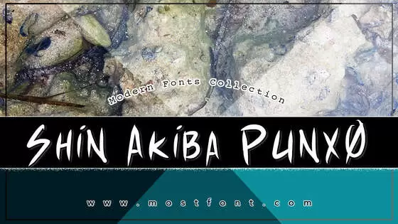 「Shin-Akiba-Punx」字体排版图片