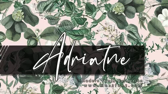 Typographic Design of Adriatne