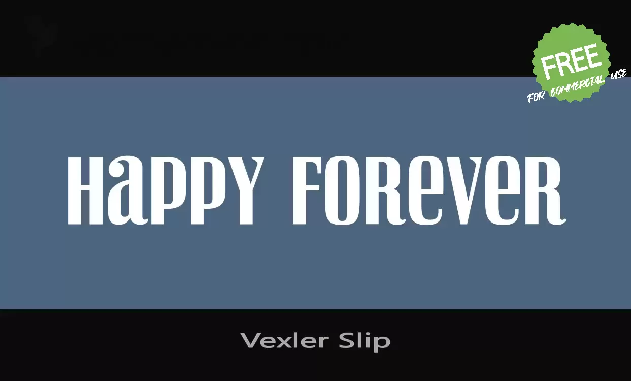 「Vexler-Slip」字体效果图