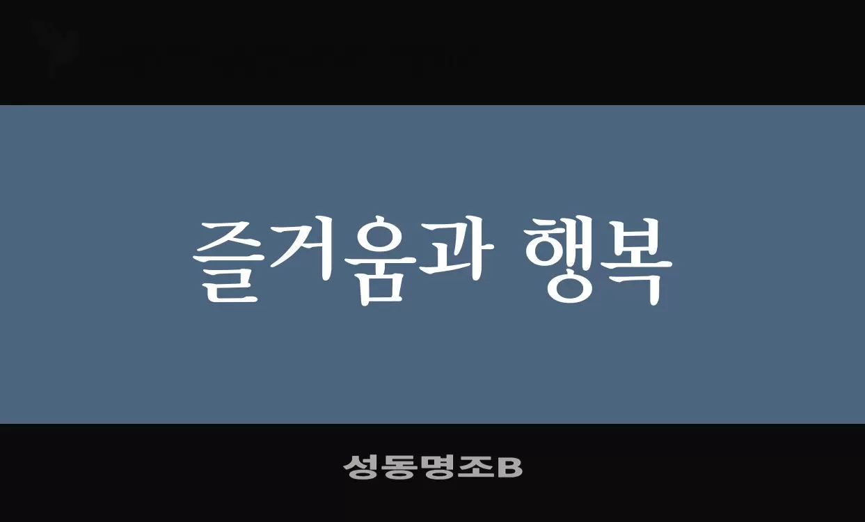 「성동명조B」字体效果图