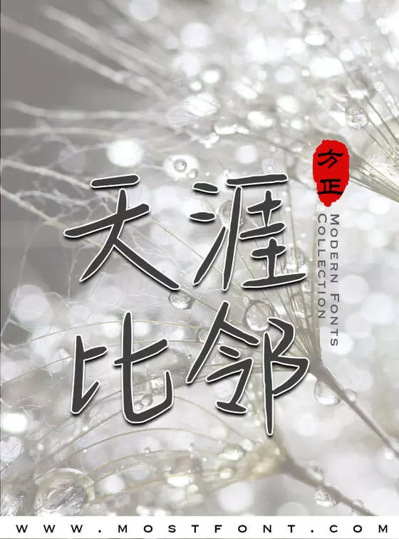 Typographic Design of 他夏了夏天