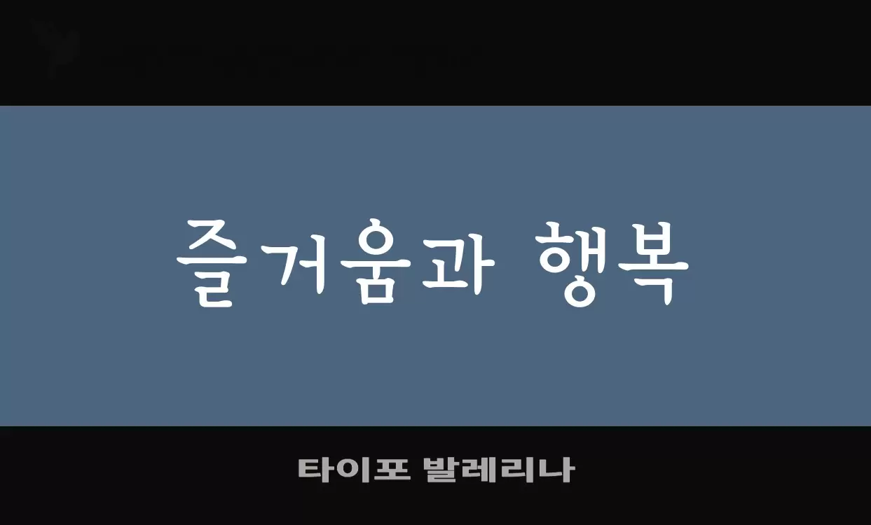 Font Sample of 타이포-발레리나