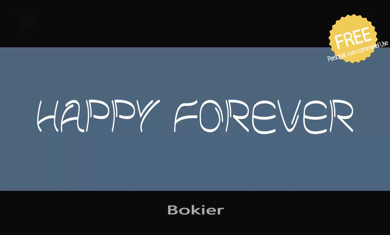 Font Sample of Bokier