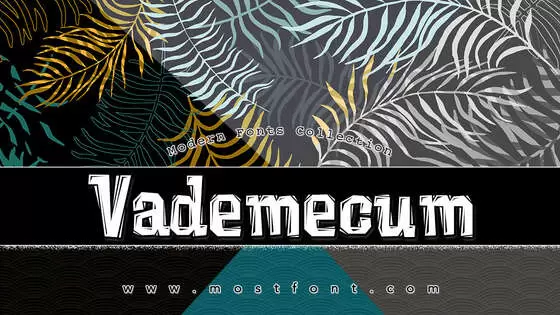 「Vademecum」字体排版图片