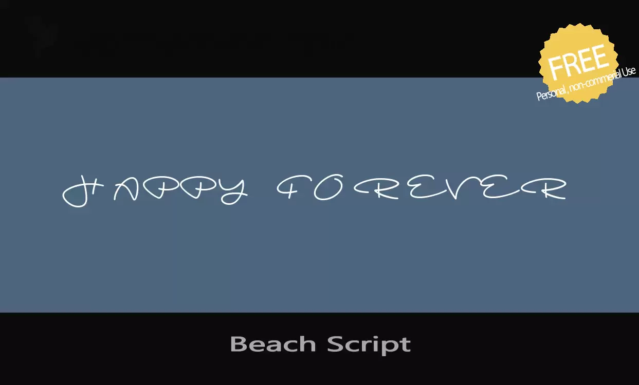 「Beach-Script」字体效果图