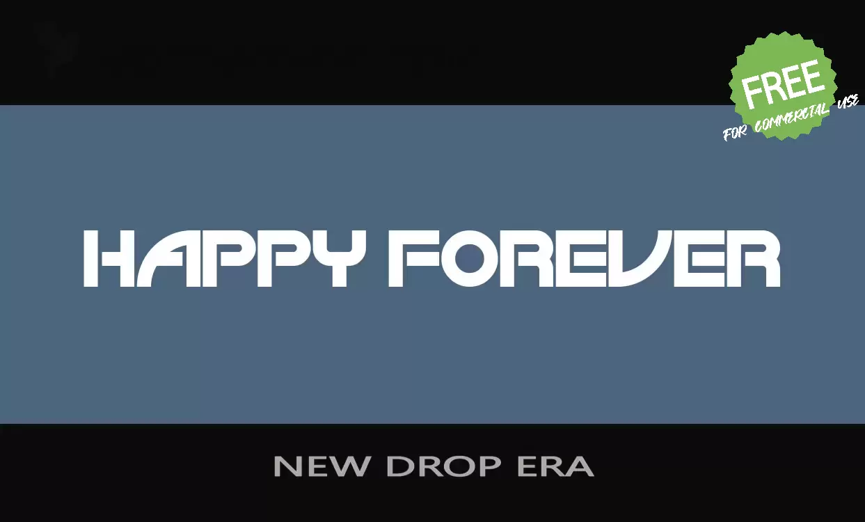 「NEW DROP ERA」字体效果图