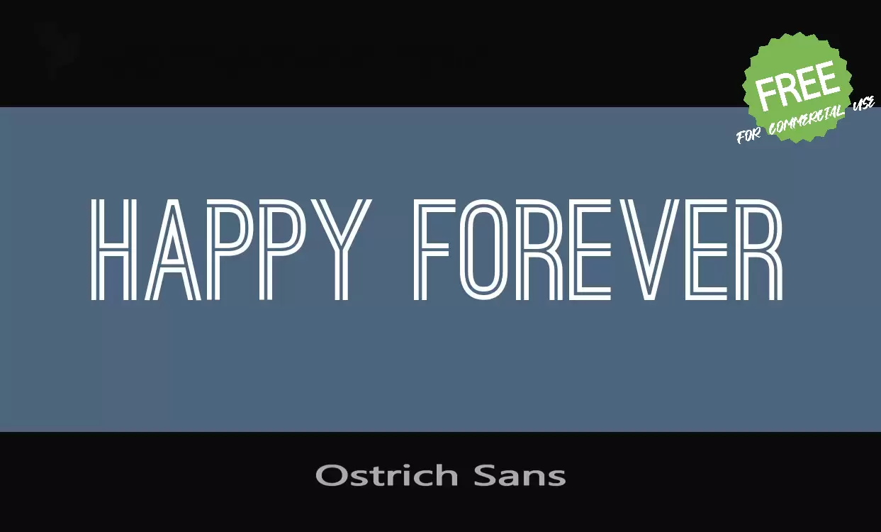 「Ostrich Sans」字体效果图