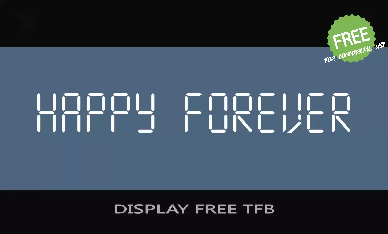 「DISPLAY FREE TFB」字体效果图