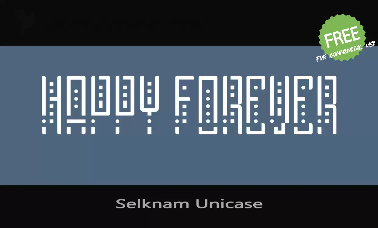 「Selknam-Unicase」字体效果图