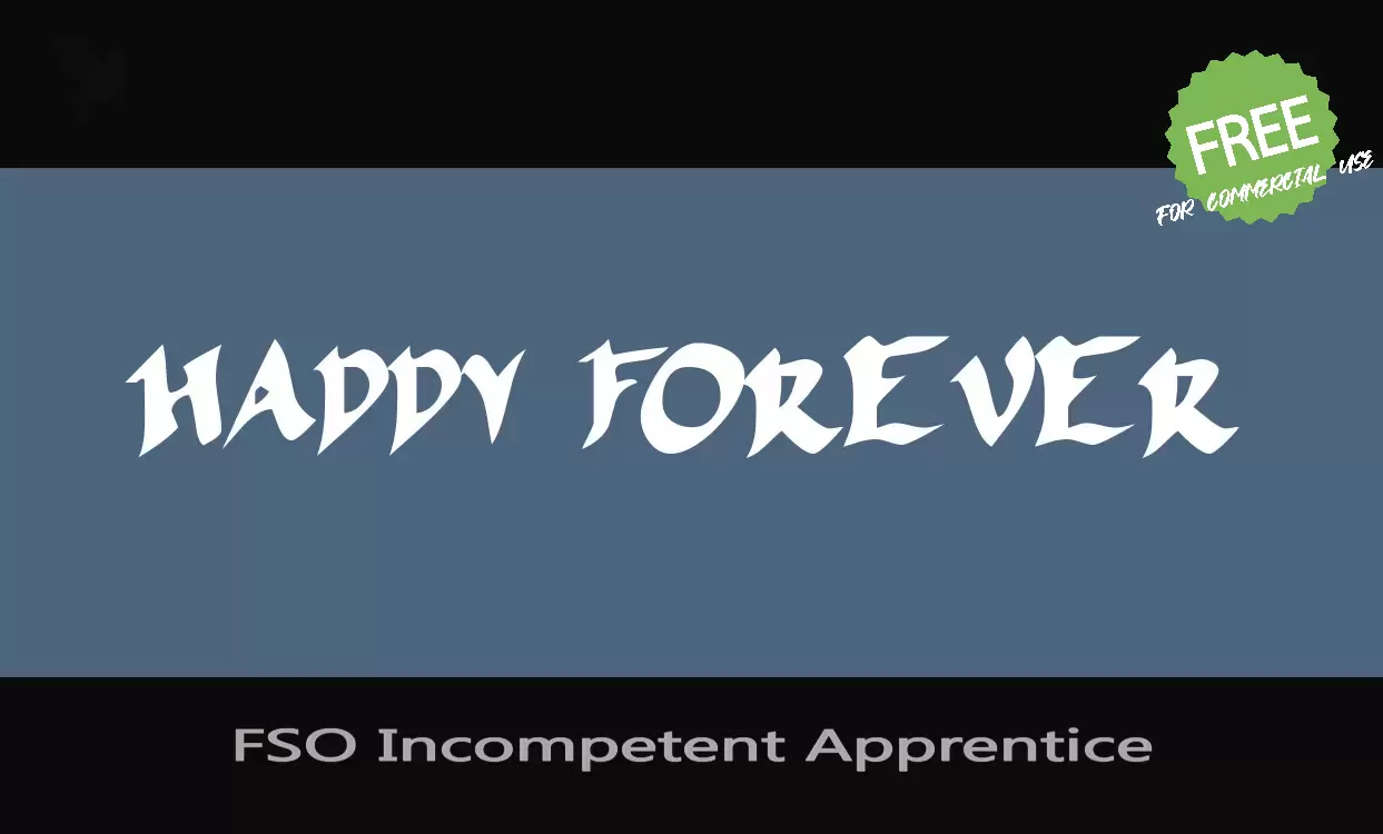 「FSO Incompetent Apprentice」字体效果图