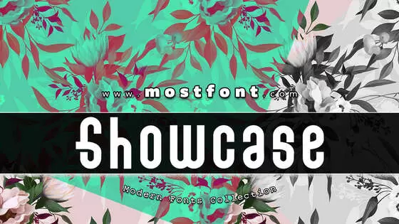 Typographic Design of Showcase