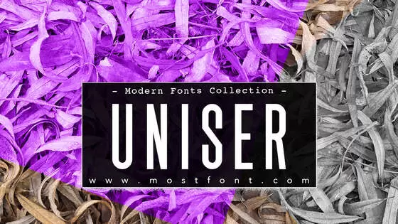 「Uniser」字体排版样式