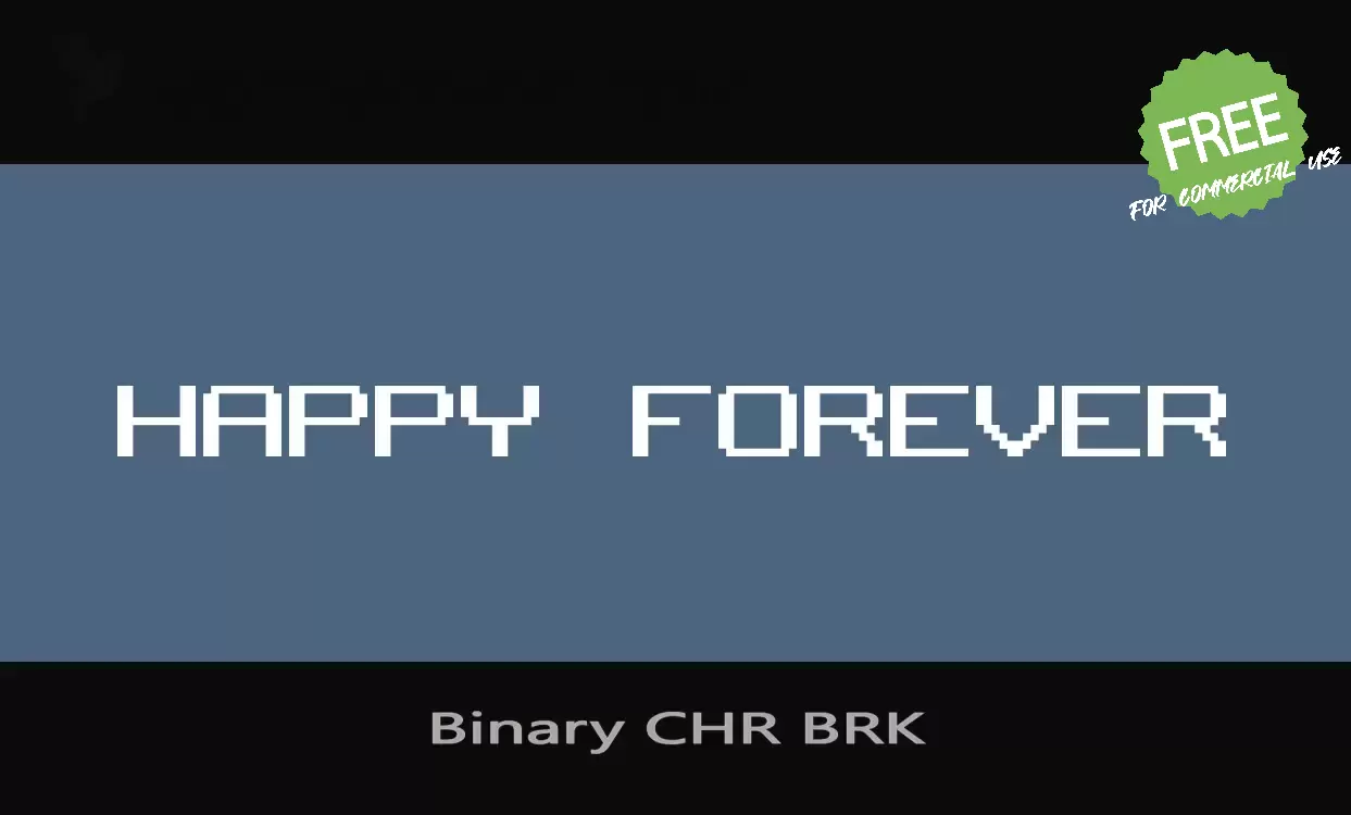 「Binary CHR BRK」字体效果图