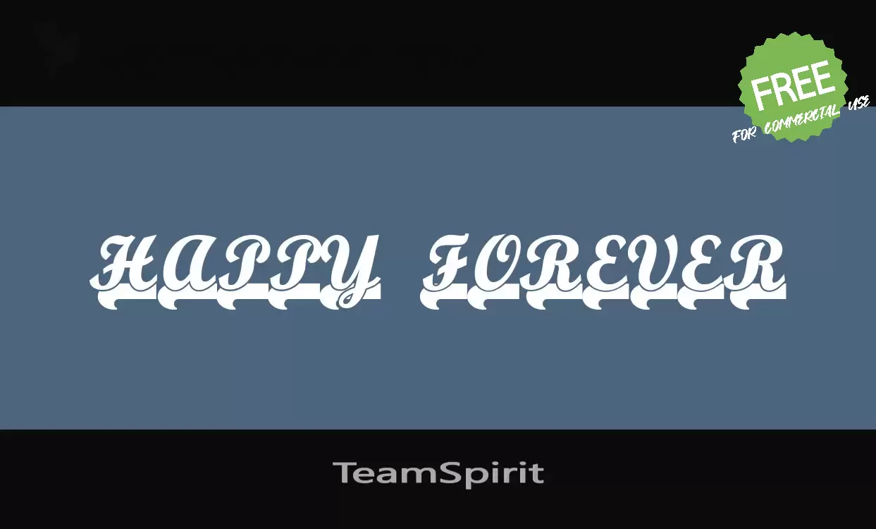 Font Sample of TeamSpirit