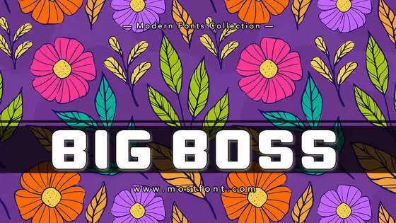 「Big-Boss」字体排版图片