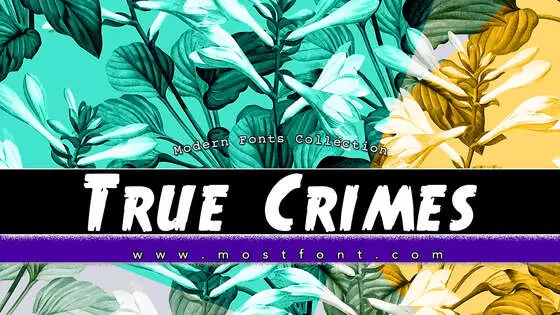 「True-Crimes」字体排版图片