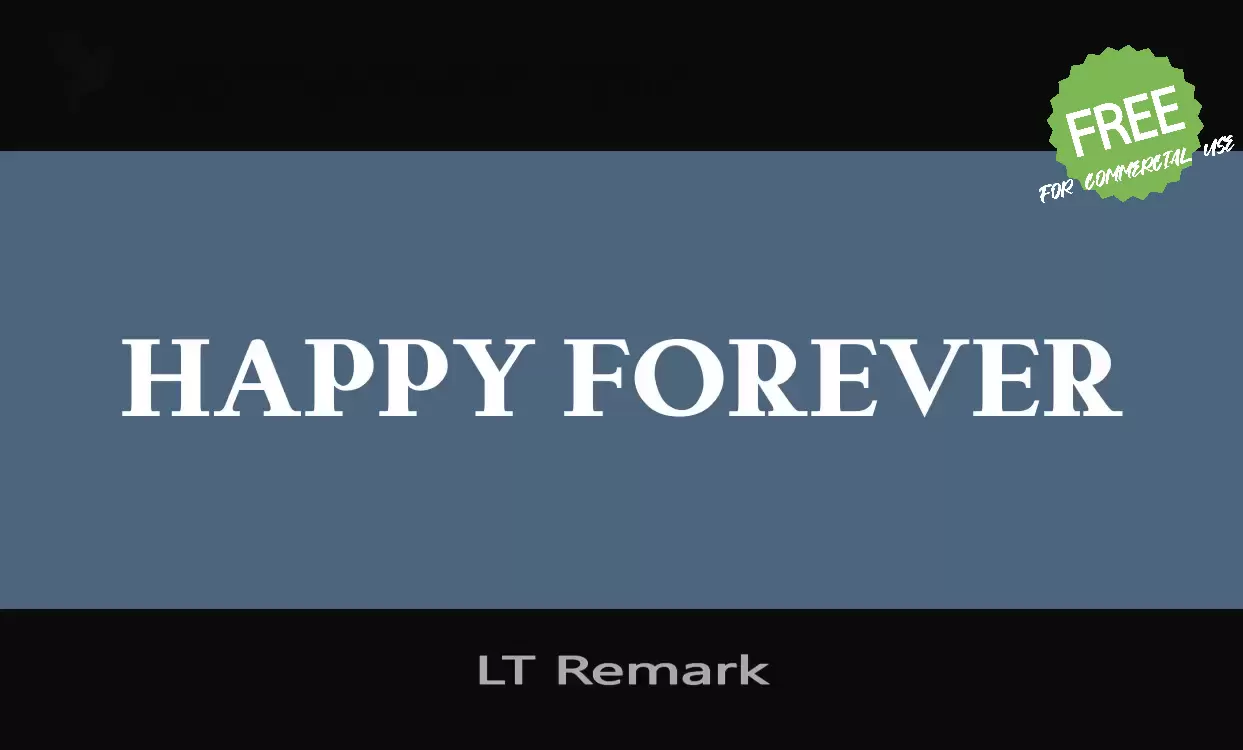 「LT Remark」字体效果图