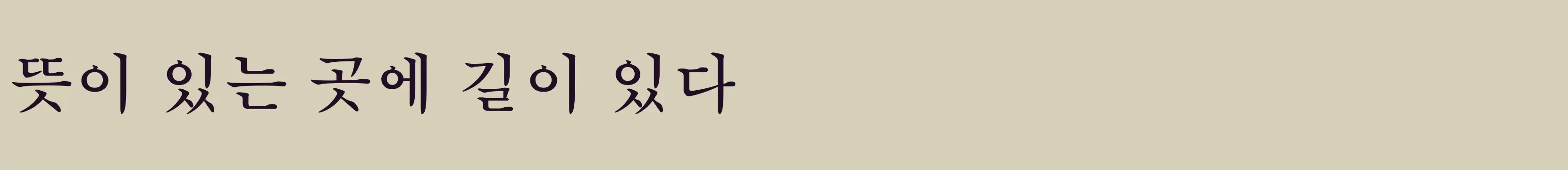 「DX명조3」字体效果图