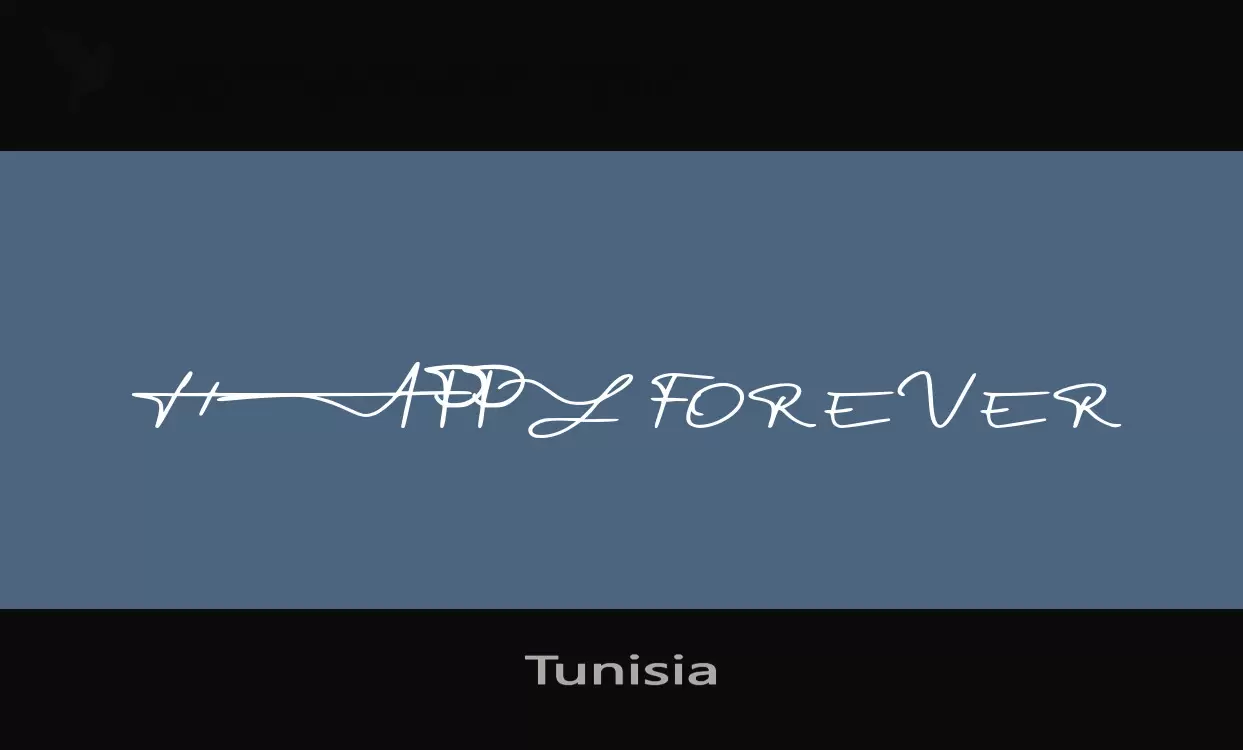 「Tunisia」字体效果图