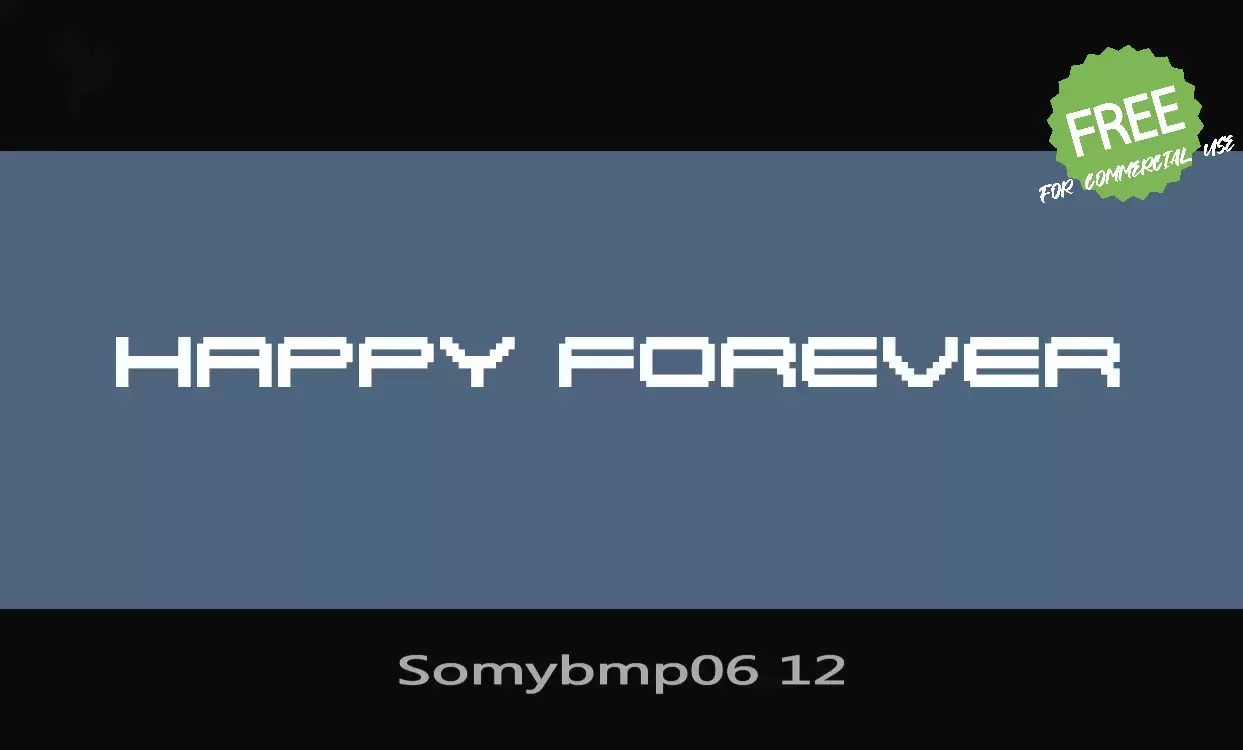 Font Sample of Somybmp06-12