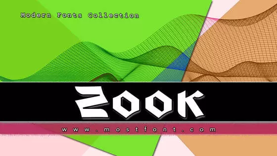 「Zook」字体排版图片