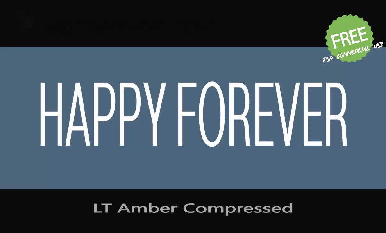 「LT Amber Compressed」字体效果图