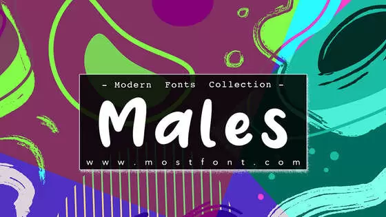 「Males」字体排版图片