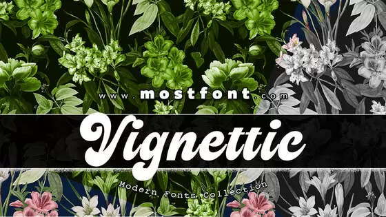 Typographic Design of Vignettic