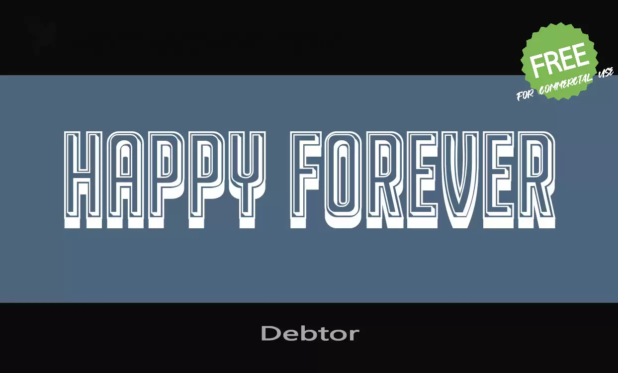 Font Sample of Debtor