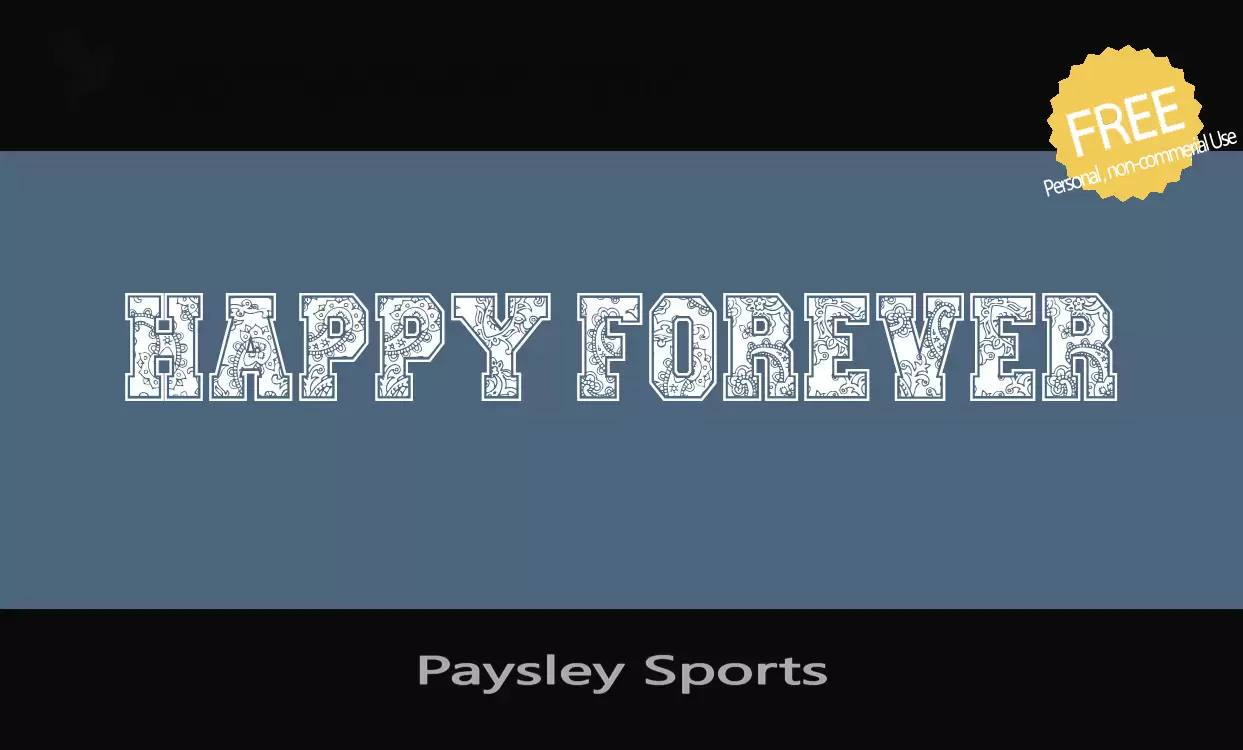 「Paysley-Sports」字体效果图