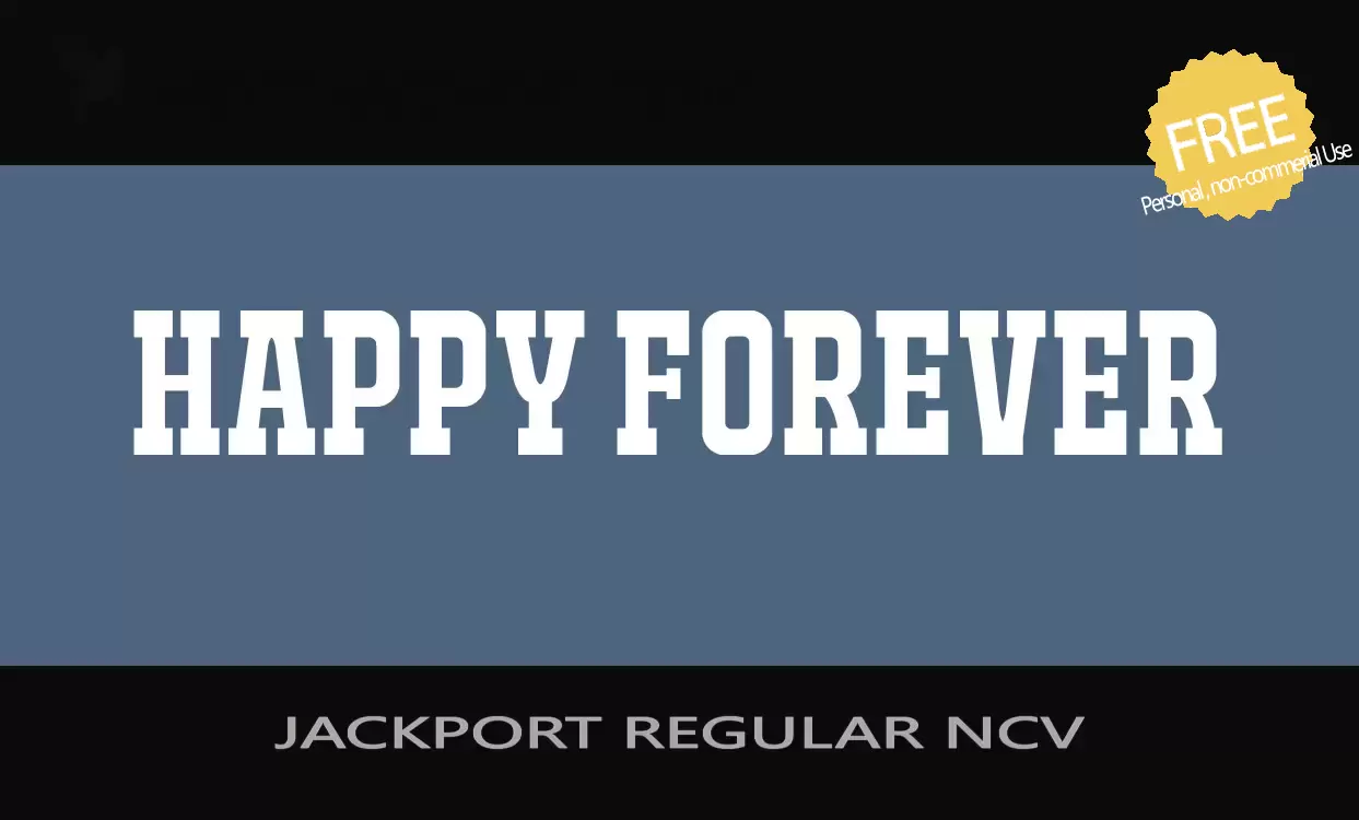 「JACKPORT-REGULAR-NCV」字体效果图