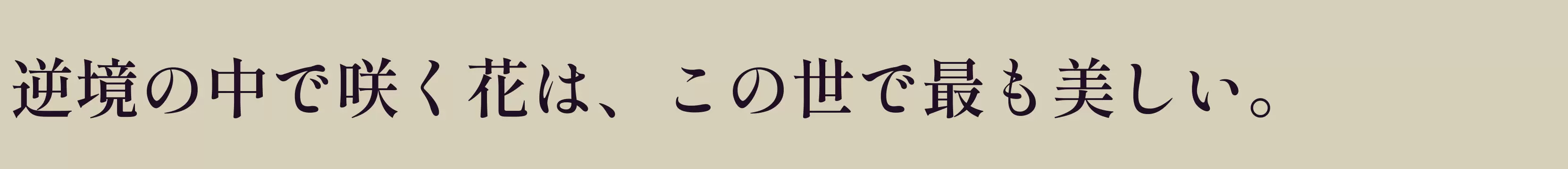 「SemiBold」字体效果图