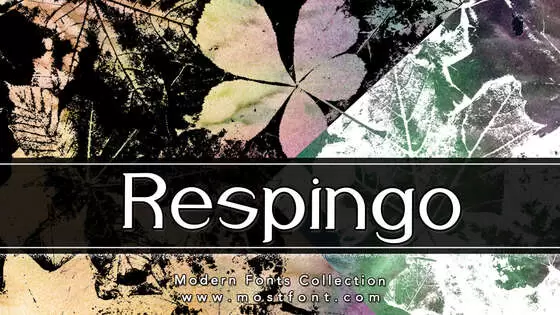 Typographic Design of Respingo