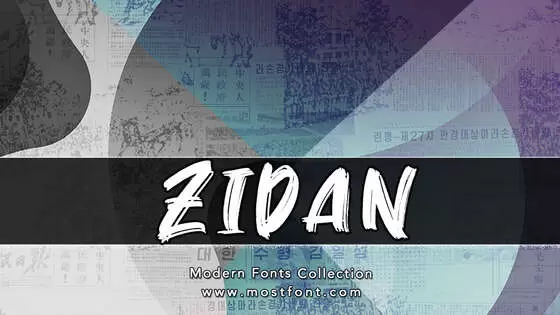 「Zidan」字体排版图片