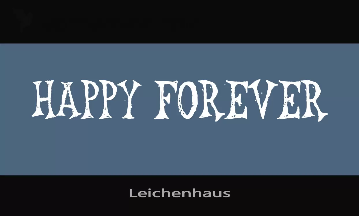 「Leichenhaus」字体效果图