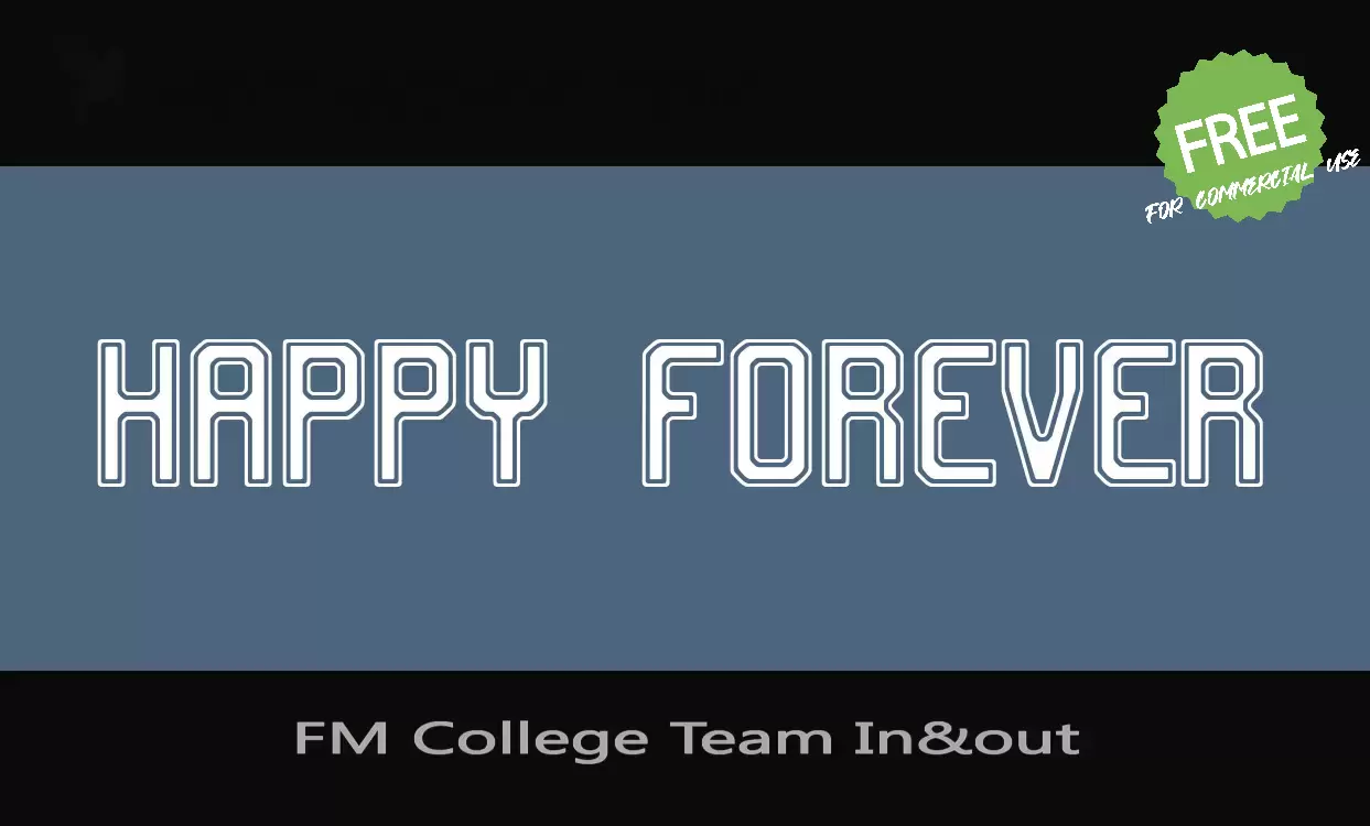 「FM College Team In&out」字体效果图