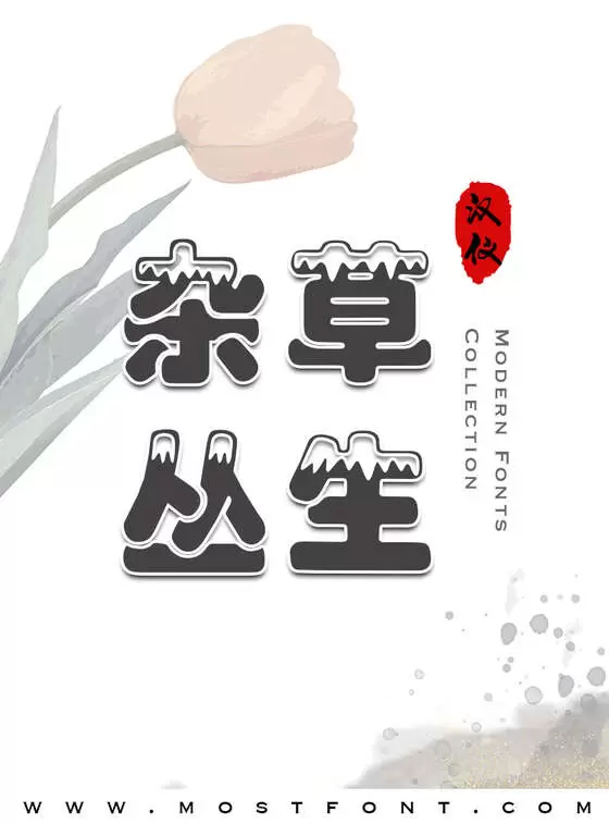 Typographic Design of 汉仪雪峰体简