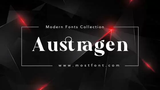 「Austragen」字体排版图片