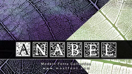 Typographic Design of Anabel